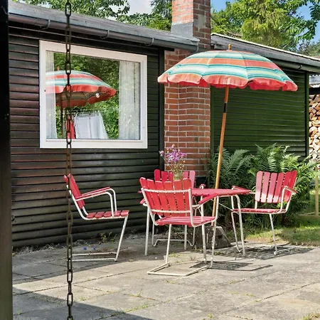Authentic Summer House Under The Starry Sky