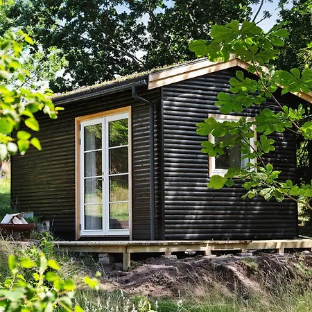 Authentic Summer House Under The Starry Sky