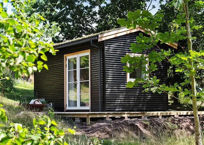 Authentic Summer House Under The Starry Sky